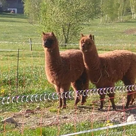 Familie Meimer 아파트