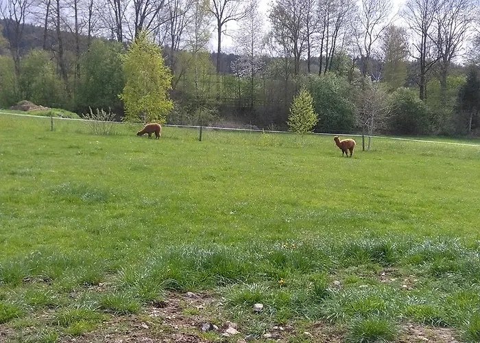 Familie Meimer
